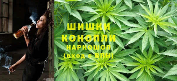 шишки Анжеро-Судженск