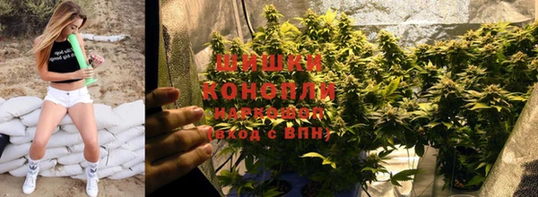 MESCALINE Нефтекумск