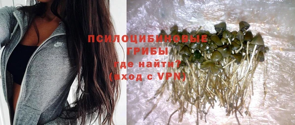 ешки Нефтегорск