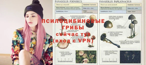 ешки Нефтегорск