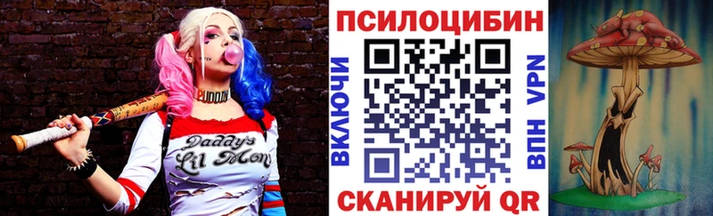Псилоцибиновые грибы Cubensis закладки Невельск